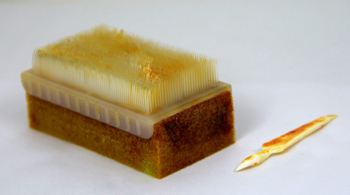 Impregnated surgical brush