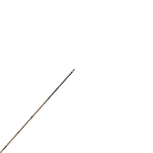Vygoplex_ZOOM_needle.jpg